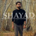دانلود آهنگ جدید عارف قنبری شاید
